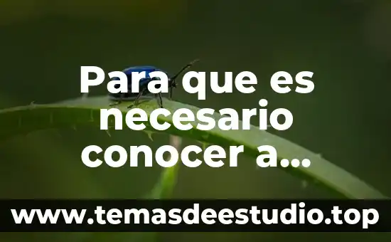 Que es historia de nuestros tiempos 5 Para que es necesario conocer a nuestros hijos