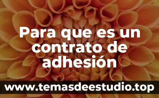 Que es el principio de ejecución del contrato 6 Para que es un contrato de adhesión