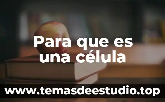 Qué es el mitocondria de la célula animal función 3 Para que es una célula