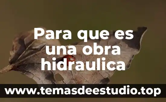 Qué es cancelación y desmantelamiento de una salida hidráulica 7 Para que es una obra hidraulica