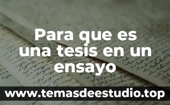 Que es un ensayo de un texto 4 Para que es una tesis en un ensayo