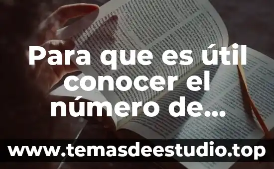 Que es el numero vat de una empresa 7 Para que es útil conocer el número de Reynolds