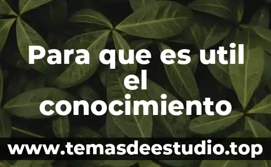 Para que es util el simbolo del sistema 4 Para que es util el conocimiento