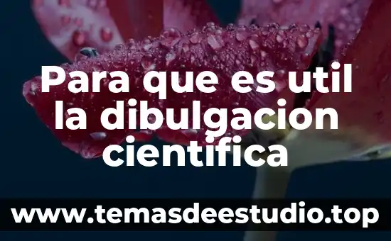 Para que es util el simbolo del sistema 7 Para que es util la dibulgacion cientifica