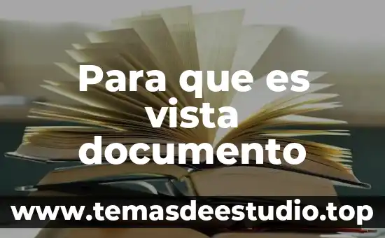 Que es un documento de identidad de irene diaz 8 Para que es vista documento