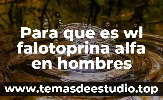 Que es la prueba alfa de crombach 3 Para que es wl falotoprina alfa en hombres