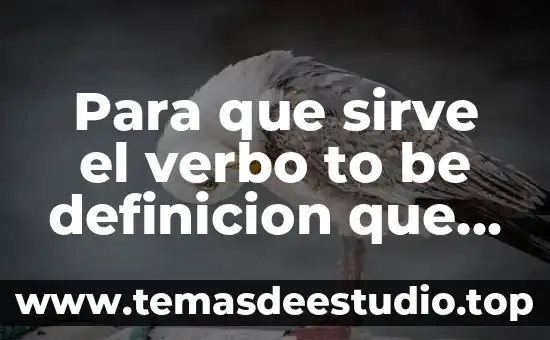 Que es el ayuno y para que sirve 3 Para que sirve el verbo to be definicion que es