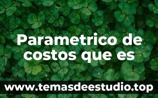Parametrico de costos que es