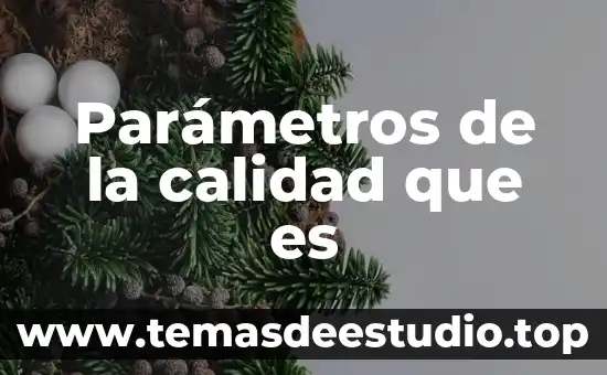 Qué es un hafu en calidad 3 Parámetros de la calidad que es