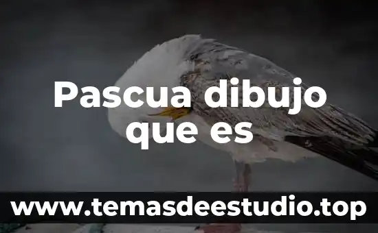 Pascua dibujo que es