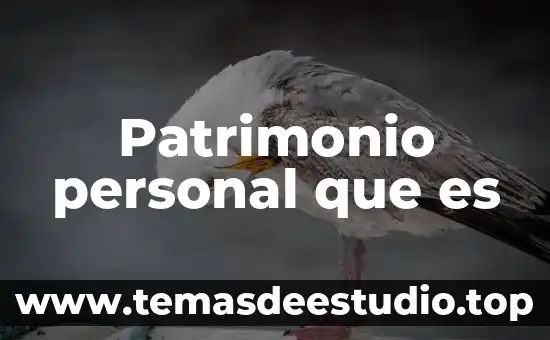 Patrimonio personal que es
