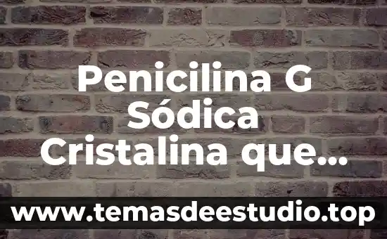 Void show grid graphics g para que es 7 Penicilina G Sódica Cristalina que es y para que sirve