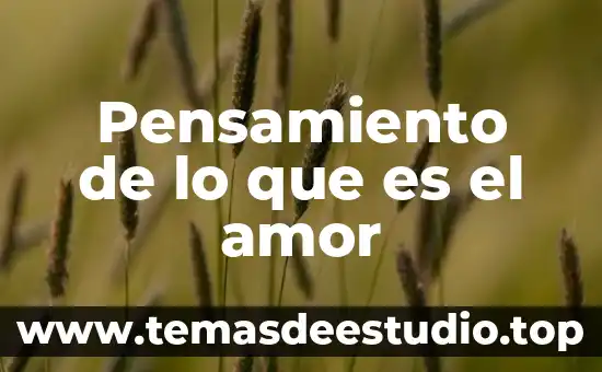 La tremenda korte que es el amor 6 Pensamiento de lo que es el amor
