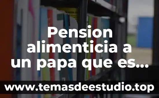 Que es el juramento de la bandera de estados unidos 4 Pension alimenticia a un papa que es de estados unidos