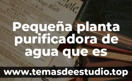 Qué es planta o alzado 7 Pequeña planta purificadora de agua que es