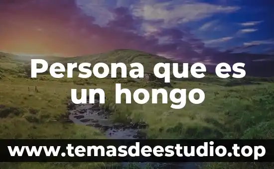 Que es significa la palabra mapa conceptualpalabra hongo 4 Persona que es un hongo