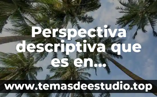 Qué es proyectante en geometría descriptiva 3 Perspectiva descriptiva que es en psicología
