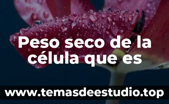 Que es el peso seco en plantas 3 Peso seco de la célula que es