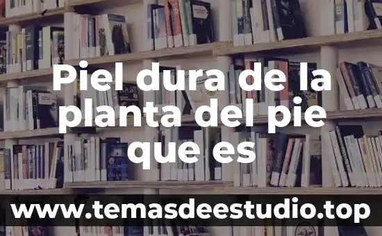Que es un pie de texto 6 Piel dura de la planta del pie que es