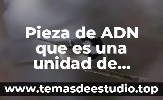 Que es el adn en el celular 4 Pieza de ADN que es una unidad de información