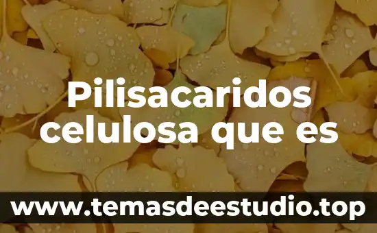 Pilisacaridos celulosa que es