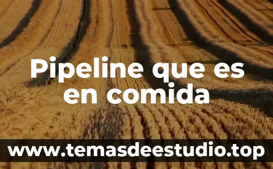 Pipeline que es en comida