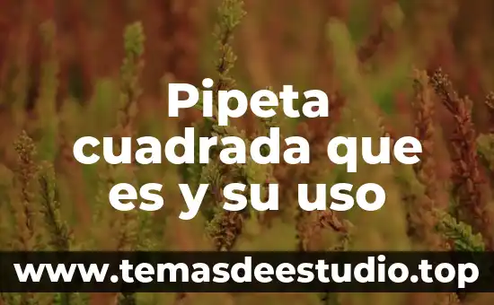 Por que es importante el uso convencional de la lengua 4 Pipeta cuadrada que es y su uso