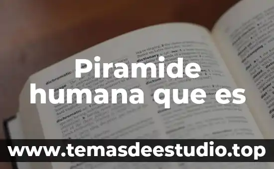 Significado de que es la naturaleza humana 6 Piramide humana que es