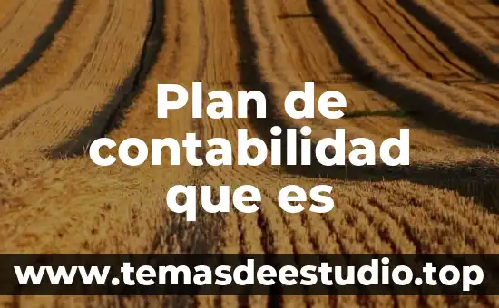 Plan de contabilidad que es