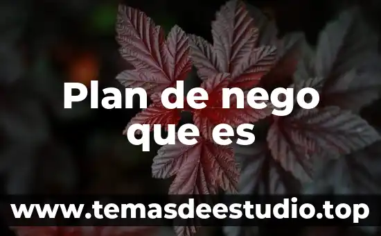 Plan de nego que es