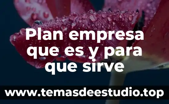 Que es optometria y para que nos sirve 6 Plan empresa que es y para que sirve