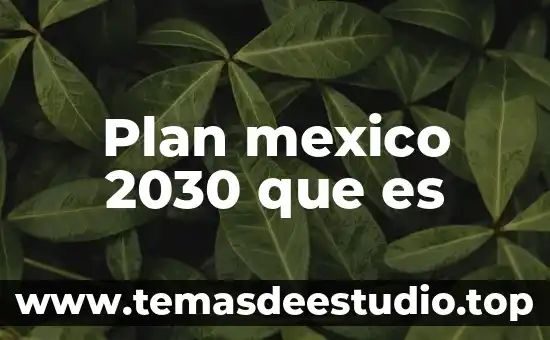 Que es una sociedad por capital 5 Plan mexico 2030 que es