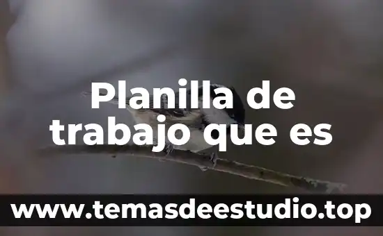Qué es la sociedad de trabajo 8 Planilla de trabajo que es