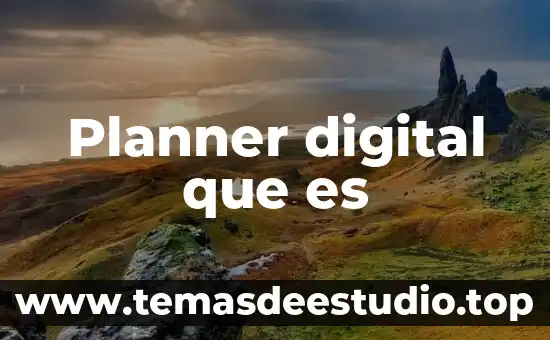 Qué es consultor digital 5 Planner digital que es