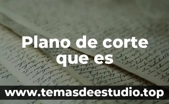 Plano de corte que es
