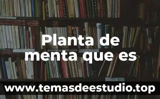 Qué es una planta silvestre y una cultivada 8 Planta de menta que es
