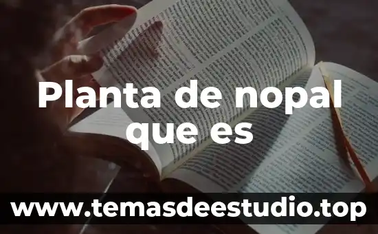 Qué es la planta procesadora del nopal 4 Planta de nopal que es