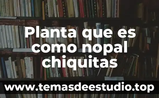Qué es la planta procesadora del nopal 6 Planta que es como nopal chiquitas