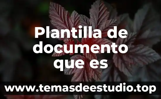 Que es la cultura empresarial y como se crea 7 Plantilla de documento que es