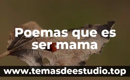 Que es el estudio us mama 4 Poemas que es ser mama
