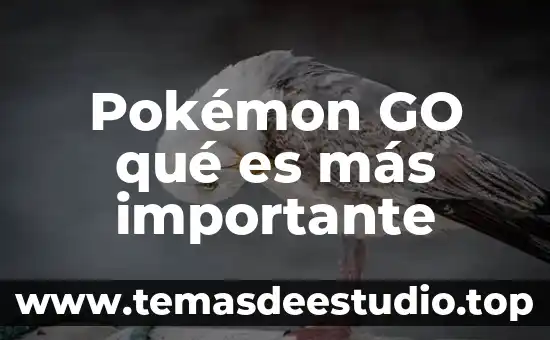 Por que es importante el respeto en la sociedad 3 Pokémon GO qué es más importante