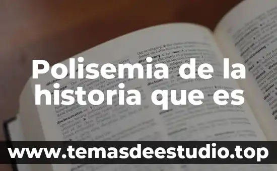 Polisemia de la historia que es