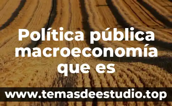 Qué es la identidad pública 3 Política pública macroeconomía que es
