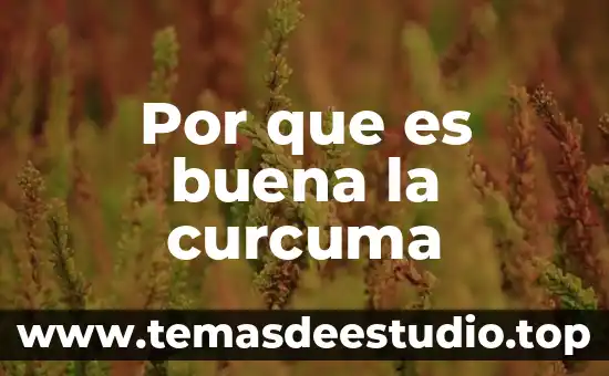 Que es buena para la plaga de planta 3 Por que es buena la curcuma