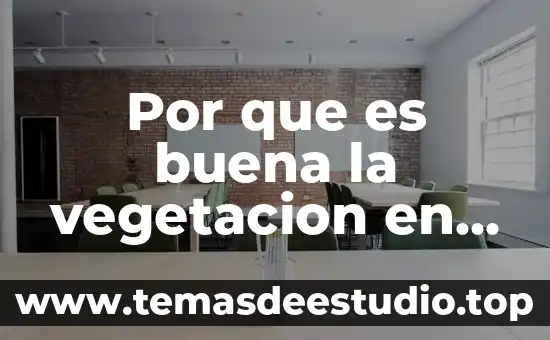 Cuando les enseñas lo que es buena música de rock 7 Por que es buena la vegetacion en construcciones
