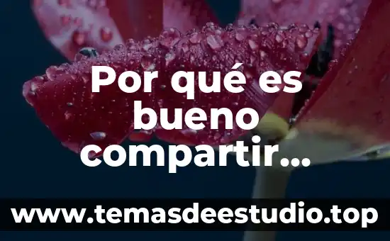 Que es compartir para niños 5 Por qué es bueno compartir cualidades con los demás