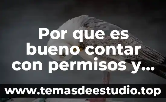 Que es bueno para los dolores colicos 5 Por que es bueno contar con permisos y vacaciones