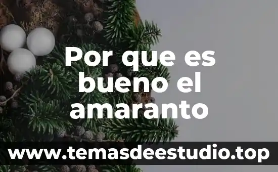 Por que es bueno el amaranto
