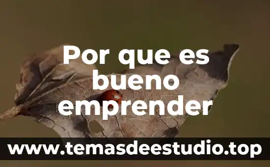 Por que es bueno emprender