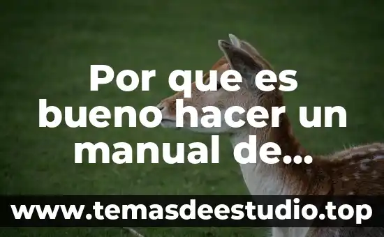 Como hacer el pokemon que es una bola bola 7 Por que es bueno hacer un manual de exportacion